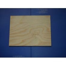 Pine Plywood Pappel Core E1 Kleber